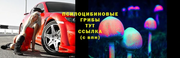 дживик Каменка