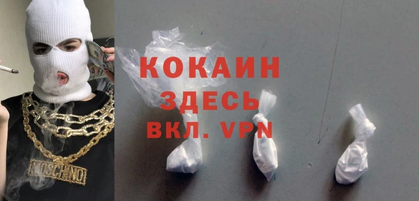 дживик Каменка