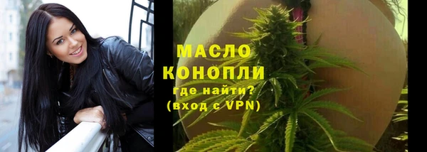 дживик Каменка