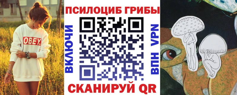 Псилоцибиновые грибы мицелий  Купить  Норильск 
